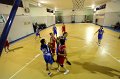 Basket 443087